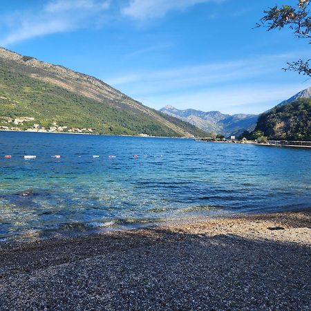 Apartment Galina Tivat Dış mekan fotoğraf
